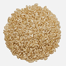 Rice Polypeptides